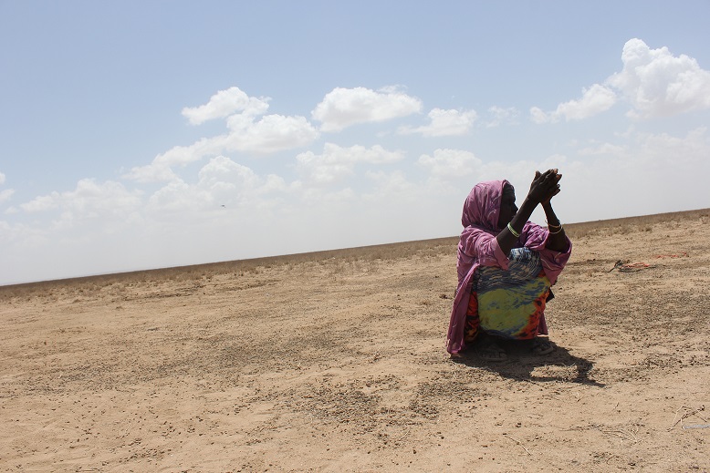 2016 ethiopia nrc 22