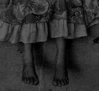 foto_pies