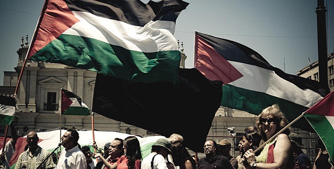 palestina8abril