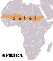 imgarticulo_africa