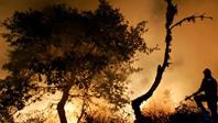 imgarticulo_incendios_EU