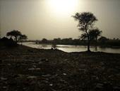 imgarticulo_sudan