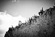 19-10-10_sombra