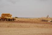 imgboletin_Africa_Occidental