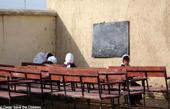 imgboletin_educacion