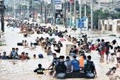 imgboletin_familiasvietnami
