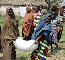 imgboletin_somalia