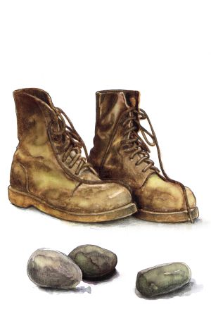botas