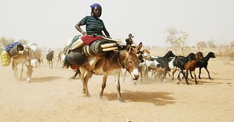 burkina